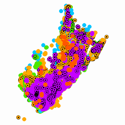 Export Image