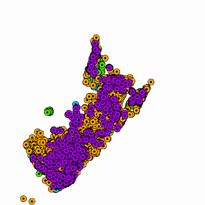 Export Image